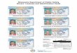 SF923 Minnesota Enhanced Driver License Handout