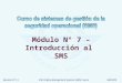 Revision N° 13ICAO Safety Management Systems (SMS) Course06/05/09 Módulo N° 7 – Introducción al SMS