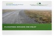 FCE_SNH Floating Roads on Peat report.pdf