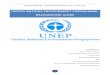 United Nations Environment Programme - Bankground Guide
