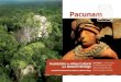Pacunam Foundation Maya Culture
