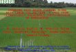 Changing Rice Based Farming along with Climate