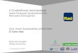 Guia de estilo para apresentações em Power Point II Conferência Internacional sobre Finanças Sustentáveis em Mercados Emergentes Silvio de Carvalho Diretor