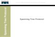 Spanning Tree Protocol Cisco Networking Academy Program (c) Cisco Systems, Inc. 2000 Spanning Tree Protocol
