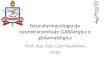 Neurofarmacologia da neurotransmissão GABAérgica e glutamatérgica Prof. Aux. Sub. Caio Maximino 2010