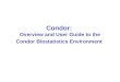 Condor: Overview and User Guide to the Condor Biostatistics Environment