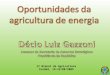 II Bienal da Agricultura Cuiabá, 19-22/08/2009. Fonte: EIA: "International Energy Outlook 2004