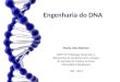 Engenharia do DNA María Julia Barison BMP-5777 Biologia Molecular e Bioquimica de proteínas alvo a drogas do parasita da malária humana Plasmodium falciparum