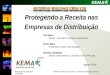 KEMA Proprietary Information RAAP® is ©KEMA Brasil, ©KEMA Inc. and ®Revenue Intelligence is ©Choice Technologies Protegendo a Receita nas Empresas de Distribuição