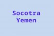Socotra Yemen. Socotra is a small island belonging to Yemen, made up of 4 islands in the Indian Ocean near Somalia in Africa. The archipelago gathers
