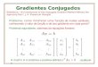Gradientes Conjugados Problema: como minimizar uma funç ão de muitas variáveis, conhecendo o valor da função e de seu gradiente em cada ponto? Problema