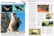 Wildlife Fact File - Animal Behavior - Pgs. 81-90