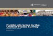 Public Library Report (FY 2010)