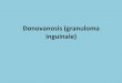 Donovanosis (granuloma inguinale)