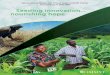 CIMMYT Annual Report 2006-2007: Seeding innovation...nourishing hope