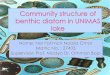 Community Structures of Benthic Diatoms in UNIMAS Lake (2)