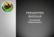 Fermented Biochar