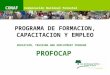 IMAGEN Corporación Nacional Forestal CONAF PROGRAMA DE FORMACION, CAPACITACION Y EMPLEO EDUCATION, TRAINING AND EMPLOYMENT PROGRAM PROFOCAP