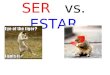 SER vs. ESTAR Ser and estar both mean To be BUT they are used in different ways!