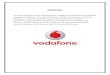 Vodafone Poter's and Plc Model
