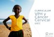 UICC HPV and Cervical Cancer Curriculum Chapter 1 – Histology of CIN and Cervical and Anogenital Cancer Prof. Dr. W. Kühn, MD CURRICULUM VPH y Cáncer Cervical