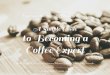 A Simple Guide to Becoming a Coffee Expert