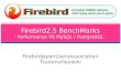 Firebird 2.5 Benchmark, by Tsutomu Hayashi (Tomneko)