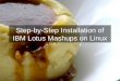 Installation Of Lotus Mashups1.1 On Linux v5 in vmware