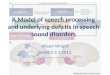 Sl6003 3.1 underlying deficits and diagnosis 2012