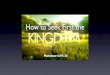 How to Seek First the Kingdom