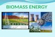 Biomass energy alex ferreiros