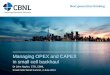 Managing OPEX and CAPEX in small cell backhaul