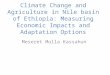 Climate change and agriculture in nile basin of ethiopia