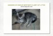 Dangers of sodium bentonite clump cat litter