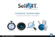 Sell2 It Executive Overview