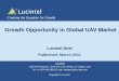 110302 Lucintel Brief - UAV Market Opportunity