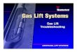 6 Gas Lift Troubleshooting (4)