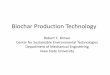 Biochar Production Technology - Slide 1