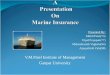 Marine Presentation