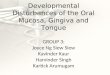 Developmental Disturbances of the Oral Mucosa, Gingiva and Tongue
