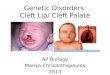 Chrisanthopoulos Marika 300453 Cleft Lip and Palate