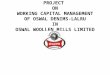 Oswal Woollen Mills Ltd Summer Project Ppt