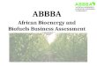 African Bioenergy and Biofuels Business Assessment opinion on RAI Principles, presented by Bo Göransson