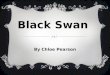 Black swan case study