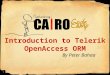 Introduction to Telerik OpenAccess ORM