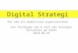 Digital Strategy i Small and Medium Sized Organizations for IFL, 2010