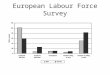 European Labour Force Survey. Work status of persons aged 15 years or more in the EU-25, 2003