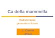 Ca della mammella Radioterapia: presente e futuro L. Cionini (Pisa)