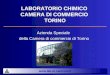 LABORATORIO CHIMICO CAMERA DI COMMERCIO TORINO Azienda Speciale della Camera di commercio di Torino 