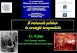 G. Cina U.O. Chirurgia Vascolare- Università Cattolica del Sacro Cuore-Roma Il varicocele pelvico: le strategie terapeutiche